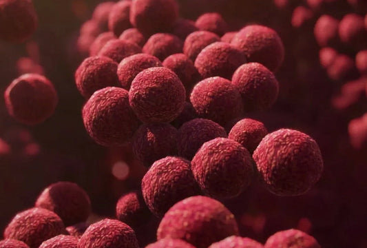 The Role of Microbiome-Friendly Cosmetics in Skin Health